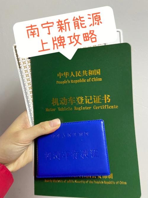 现在新能源指标买断价格-京城汽车实用攻略指南